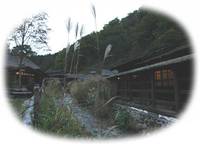 鶴の湯温泉 （つるのゆおんせん） の写真 (1)