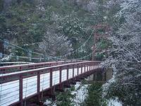 県立自然公園鬼の舌震(けんりつしぜんこうえんおにのしたぶるい) の写真 (3)