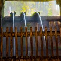 白布温泉 湯滝の宿 西屋 の写真 (1)