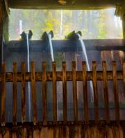 白布温泉 湯滝の宿 西屋 の写真 (1)