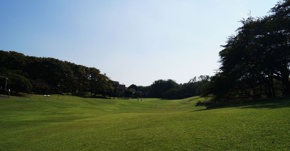 根岸森林公園 子連れのおでかけ 子どもの遊び場探しならコモリブ