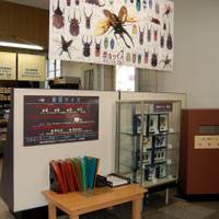 名和昆虫博物館 (なわこんちゅうはくぶつかん) の写真 (1)