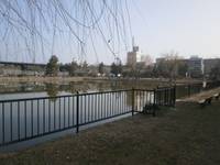 都市計画公園 田井庄池公園　（たいのしょういけこうえん） の写真 (2)