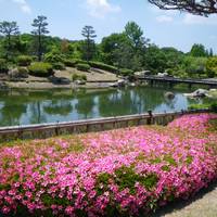 滋賀県営びわこ文化公園 の写真 (3)
