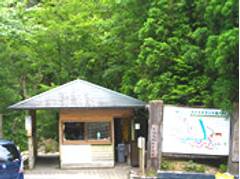 屋久島の子連れ観光スポットおすすめ10選！気軽に自然を味わえる場所も