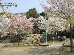 岡本南公園