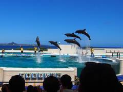 沖縄美ら海水族館