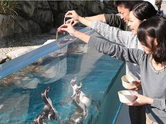 仙台うみの杜水族館