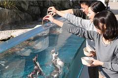 仙台で人気のある子供の遊び場30選 子連れお出かけに最適なイベント開催施設も 子連れのおでかけ 子どもの遊び場探しならコモリブ