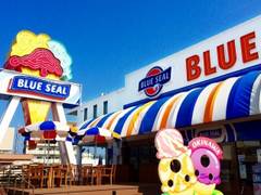 BLUE SEAL BigDip  牧港本店 （ブルーシール・ビッグディップ）