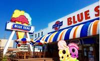 BLUE SEAL BigDip  牧港本店 （ブルーシール・ビッグディップ） の写真 (1)