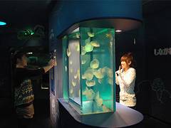 しながわ水族館