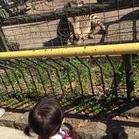 川崎市立夢見ヶ崎動物公園