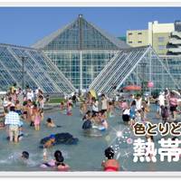 函館市熱帯植物園
