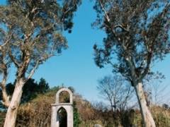 辻村植物公園 子連れのおでかけ 子どもの遊び場探しならコモリブ 辻村植物公園 子連れのおでかけ 子どもの遊び場探しならコモリブ