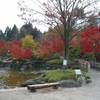 桜山森林公園
