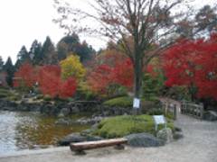 桜山森林公園