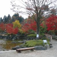 桜山森林公園 の写真 (1)