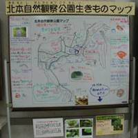埼玉県自然学習センター 北本自然観察公園 の写真 (3)