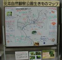 埼玉県自然学習センター 北本自然観察公園 の写真 (3)