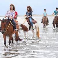 サンシャインステーブルス 九十九里海岸 ホーストレッキング(乗馬) の写真 (3)