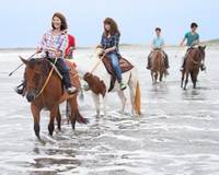 サンシャインステーブルス 九十九里海岸 ホーストレッキング(乗馬) の写真 (3)