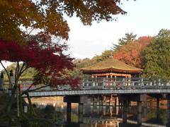奈良のおすすめ子連れ観光20選！家族旅に人気の施設や小学生の子供も楽しめるところまで