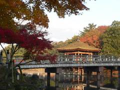奈良の子連れで楽しむ遊び場 観光35選 お出かけに最適な公園から子供向けイベント開催も 子連れのおでかけ 子どもの遊び場探しならコモリブ 奈良の子連れで楽しむ遊び場 観光35選 お出かけに最適な公園から子供向けイベント開催も 子連れのおでかけ 子どもの遊び場探しならコモリブ