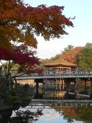 奈良のおすすめ子連れ観光20選！家族旅に人気の施設や小学生の子供も楽しめるところまで