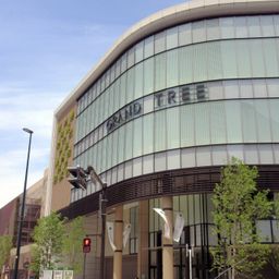 グランツリー武蔵小杉ってどんなところ 子連れにおすすめのレストランも紹介 Comolib Magazine グランツリー武蔵小杉ってどんなところ 子連れにおすすめのレストランも紹介 Comolib Magazine
