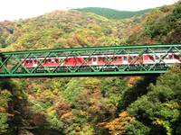 箱根登山ケーブルカー の写真 (3)