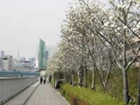 汐浜運河 の写真 (1)