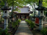 丸子山王日枝神社 の写真 (3)
