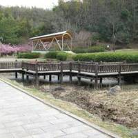 城池親水公園 の写真 (2)