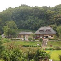 県立座間谷戸山公園 の写真 (2)