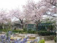 花と緑の学習園 上ヶ池公園 の写真 (1)