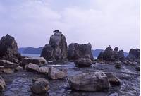 橋杭岩（はしぐいいわ） の写真 (3)