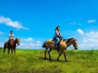 アイランドリゾート阿蘇　エル・パティオ牧場 阿蘇ホーストレッキング（乗馬） の写真 (1)