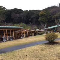 Suzuki Yusukeさんが撮った あらさわふる里公園 の写真