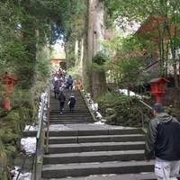 箱根神社（はこねじんじゃ） の写真 (2)