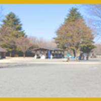 昭和記念公園　バーベキューガーデン
