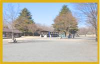 昭和記念公園　バーベキューガーデン の写真