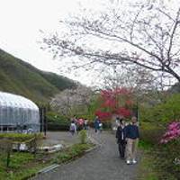 秋保大滝植物園 の写真 (3)