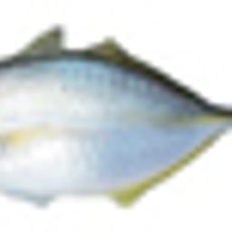 大阪の子連れで行ける釣り堀10選 室内釣り 海釣り 駅近くの釣堀も Comolib Magazine