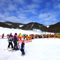 札幌藻岩山スキー場 の写真 (3)