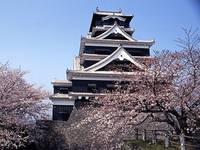 熊本城 の写真 (3)