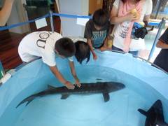 山梨県立富士湧水の里水族館