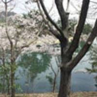 兵庫県立播磨中央公園 の写真 (1)