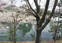 兵庫県立播磨中央公園 の写真 (1)