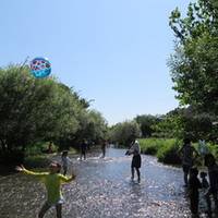 落合川いこいの水辺 の写真 (3)